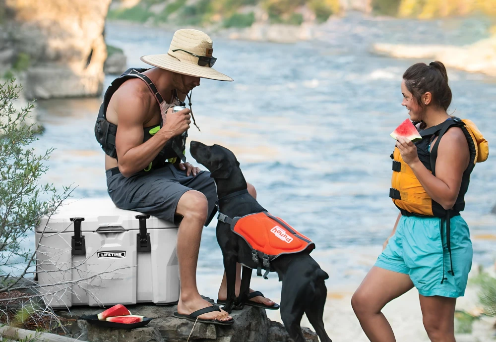 coke outdoor cooler